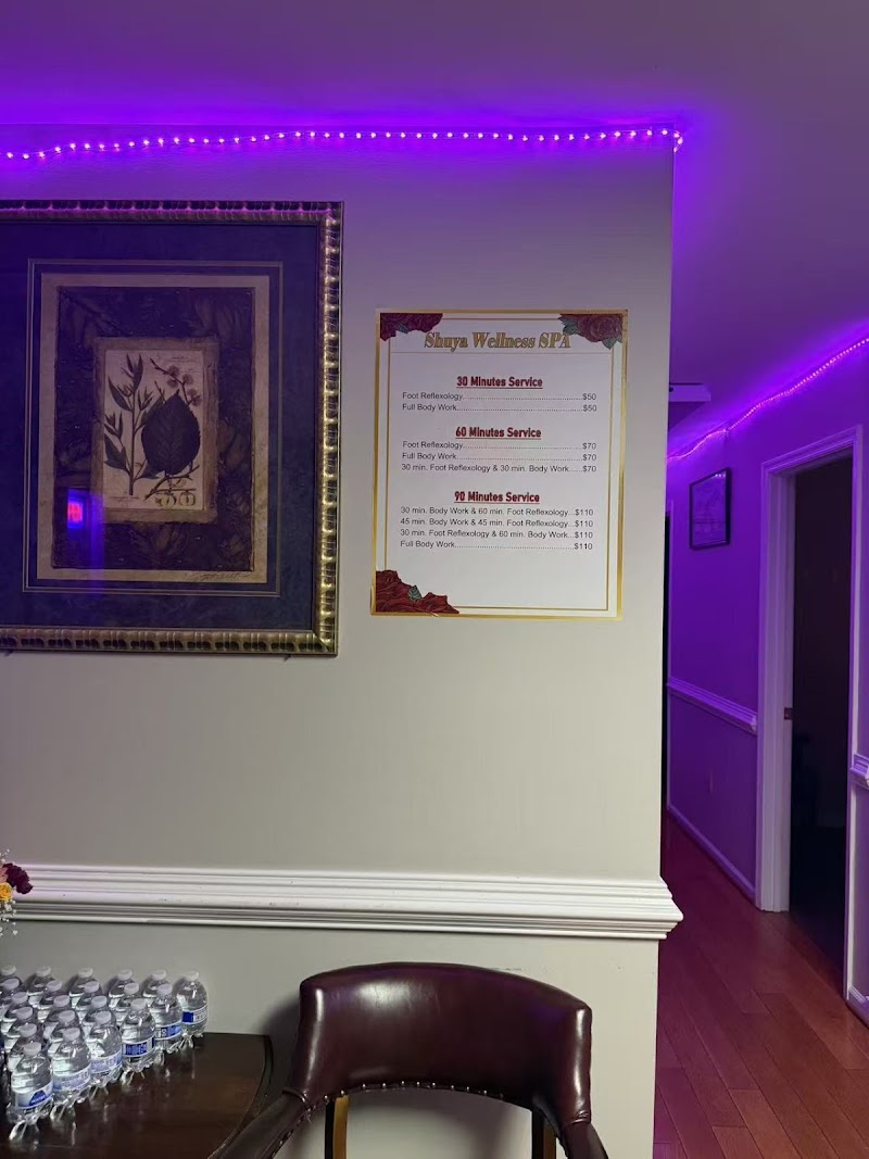 Shuya Wellness SPA, massage spa in Staunton, VA, photo 2 of 8